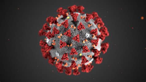 Total cases total deaths total recovered. Update: Latest BU News on Coronavirus | BU Today | Boston ...
