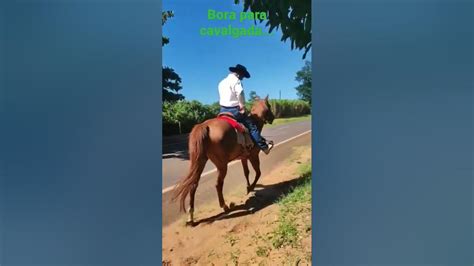 cavalga em pérola pr roça égua cavalgada youtube
