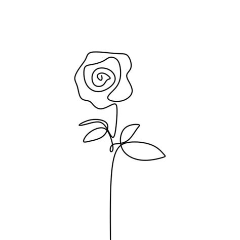 650x868 chinese rose, flower artwork, line drawing png image for free download. Uma Linha Rosa Flor Desenho Minimalista Ilustração ...