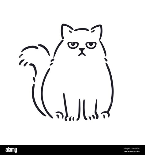 cartoon drawing of grumpy looking fat cat funny annoyed white persian cat hand drawn sketch