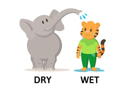 Words Dry And Wet Flashcard With Cartoon Animal Characters Opposite