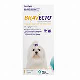 Pictures of Cheap Flea Treatment For Dogs Free Delivery
