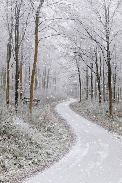 Snowy Country Road 566bd30156692084450244a72f715bd2 427×640