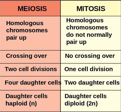 Compare And Contrast Mitosis Meiosis Chart