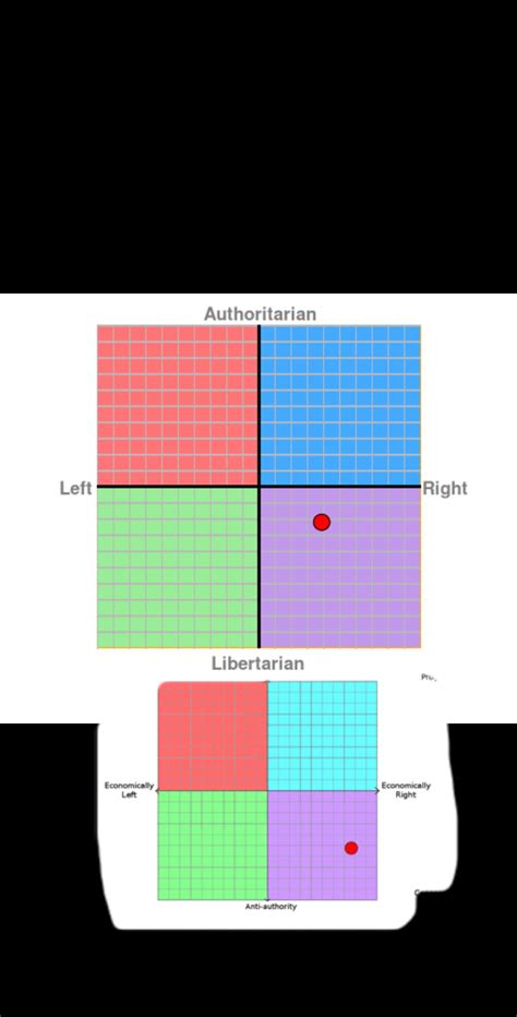 Why Were My Results On The Political Compass Test And The Sapply One