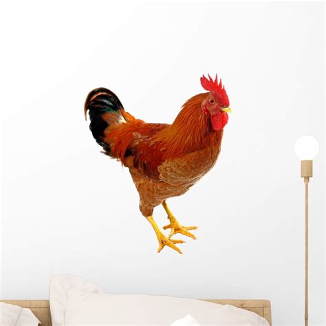 Red Rooster Wall Decal Sticker Wallmonkeys Peel And Stick Vinyl Graphic