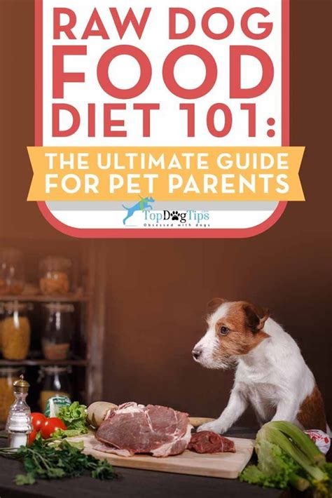 Here i'll discuss a simple formula you can use as a guide together with your vet's instructions. Raw Diet for Dogs 101: The Ultimate Guide - Top Dog Tips ...
