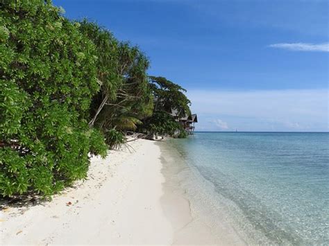 Lankayan Island Sandakan 2021 All You Need To Know Before You Go