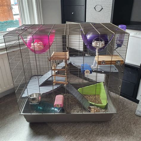 Rat Cage With Accessories In Bournemouth Dorset Gumtree