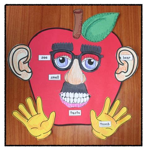 Studying The 5 Senses With Apples Senses Activities 5 Senses Craft
