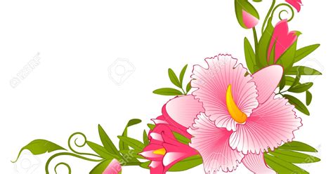 Gambar Bingkai Bunga Hd Kumpulan Gambar Bunga
