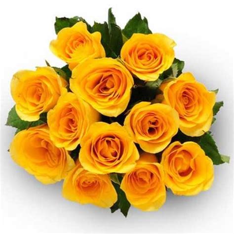 Dreamstime is the world`s largest stock photography community. 12 yellow roses bunch - Myflowergift