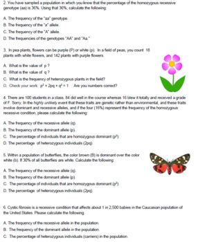P2 + 2pq + q2 = 1 p + q = 1 p = frequency of the dominant allele in the population q = frequency of the recessive. Hardy Weinberg Problem Set (KEY) by Biologycorner | TpT