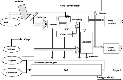 Diagram Of The Energy Flow Of An Agricultural Ecosystem