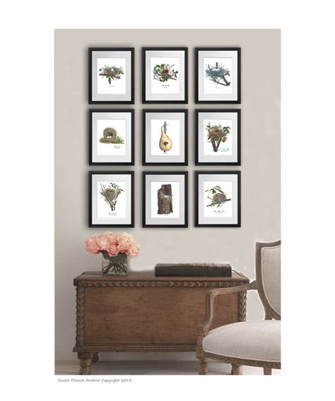 Antique Bird Nest Art Prints Set Of Spring Living Room Decor Dining