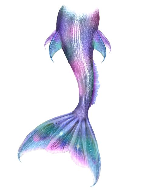 Ariel Mermaid Drawing Tail Siren Mermaid Tail Png Download 1327