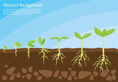Plant Grow Up Concept Vector Download Free Vector Art Stock Graphics