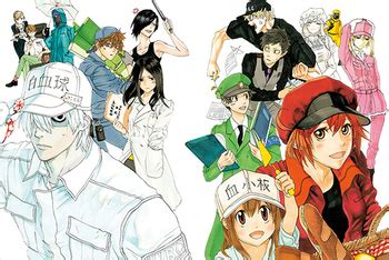 Macrophage division is one of the immune forces in the body that is made out of macrophages. Anime Science 101- Manga Review- Cells at Work