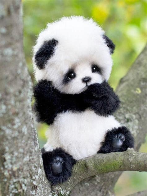 Teddy Bear Panda Pattern Pdf Pattern For Sewing Soft Toy Etsy Cute