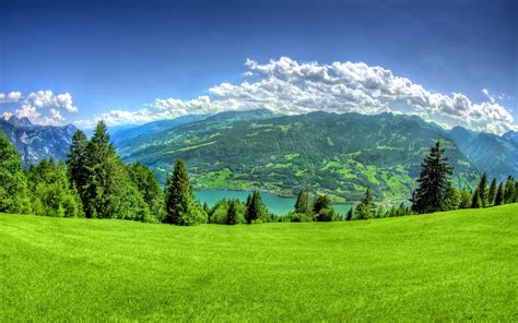 Green Grass And Mountain 1920x1200 Wallpapers 1920x1200 Wallpapers