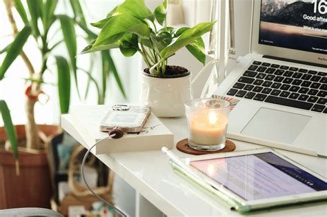 Top 10 Home Office Plants For Your Desktop Setup Desktopflow