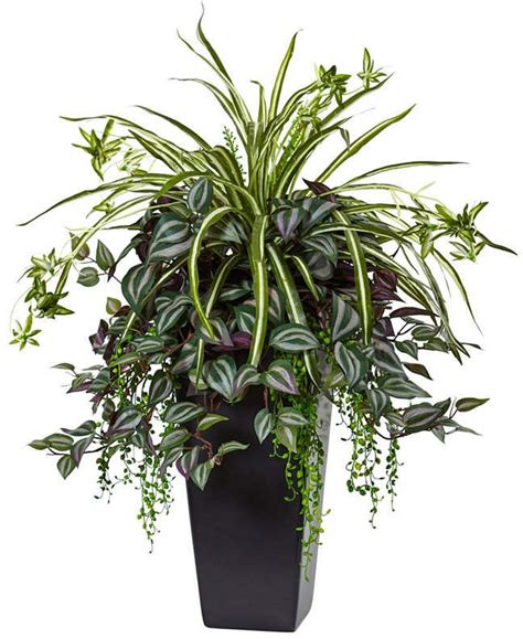Nearly Natural Wandering Jew And Spider Plant In Black Planter