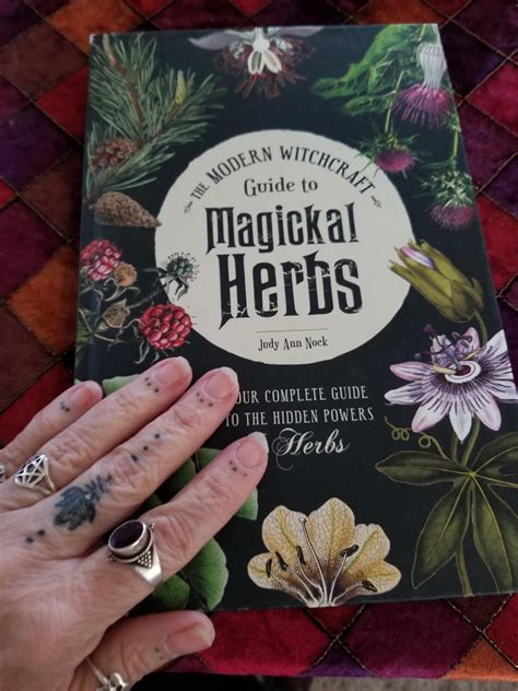 The Modern Witchcraft Guide To Magickal Herbs Neuse River Witch