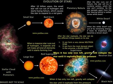Stellar Evolution Life Cycle Of A Star Stock Vector I