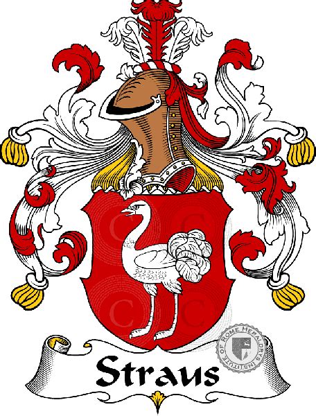 Strauß familia heráldica genealogía escudo Strauß