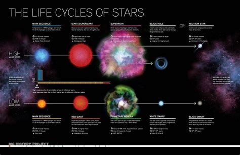 Infographic The Incredible Life Of Stars