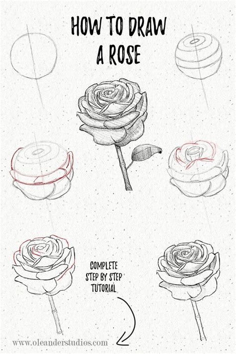 How To Draw A Rose Step By Step Tutorial Realistic Flower Drawing