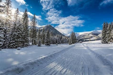 Premium Photo Snowy Road Leading To Chocholowska Valley At Winter