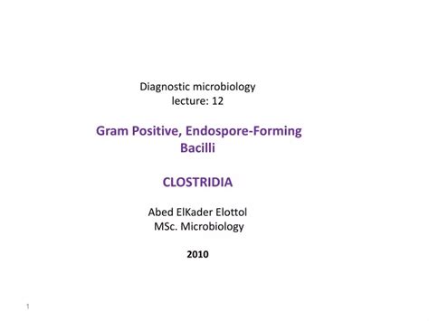 Ppt Diagnostic Microbiology Lecture 12 Gram Positive Endospore