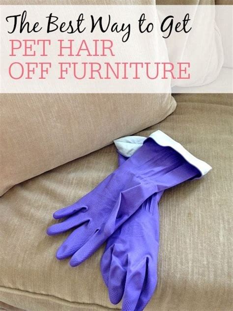 So after you have prepared the items ready to be washed, what else can you do to ensure the wash. The Best Way To Get Pet Hair Off Furniture | Pet hair ...