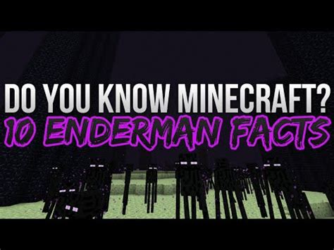 An enderman is a neutral mob. 1.7.2 Endermen Don't Pick Up Blocks Mod Download | Minecraft Forum