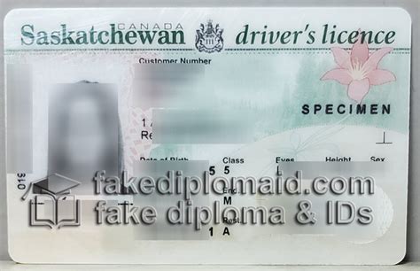 Replica Your Canada Id Card Fake Saskatchewan Drivers License