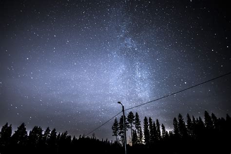 Free Images Tree Nature Sky Night Star Milky Way Constellation