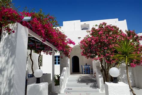 Building Of Hotel In Traditional Greek Style And Bougainvillea Flowers