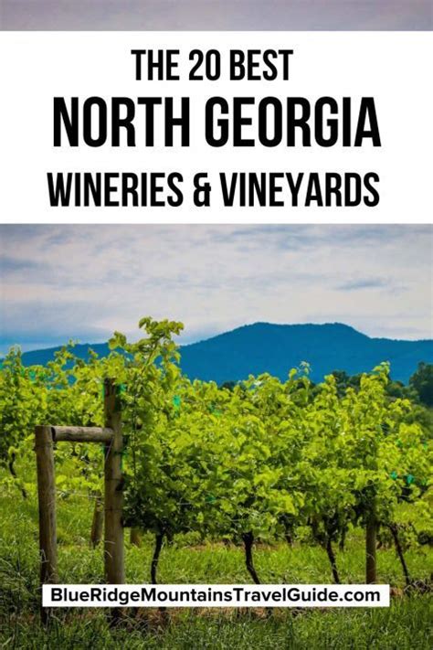 The 25 Best Wineries In The North Georgia Mountains North Georgia