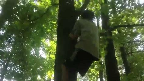 Kid Climbs Tree Within Seconds Not To Mention He Is Barefoot Youtube