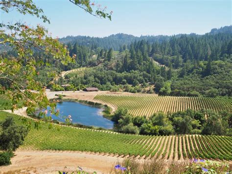 Napa Valley Wine Tours And Packages Chloe Johnston Experiences
