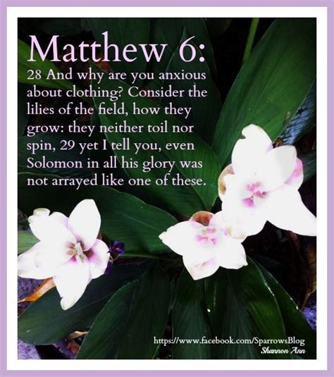 Favorite bible verses to memorize. Pin on Passionate for Christ - Shannon Ann