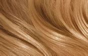 S Best Hair Color Ideas Are Right Here