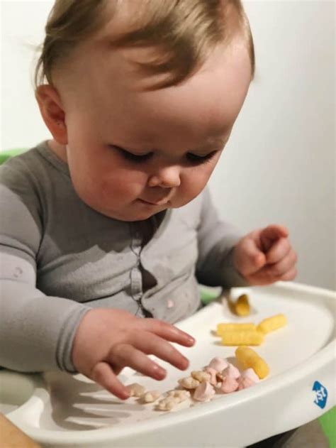 Step 1 roughly chop up your onions & chicken breast (big enough approx 5cm long for baby to pick up).; Baby led weaning foods and signs your baby is ready - Blue ...