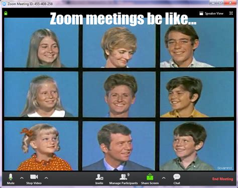 Brady Bunch Zoom Meme Captions Ideas