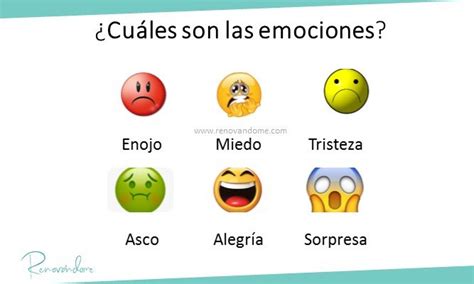 ¿qué Son Las Emociones Y Cuál Es Su Importancia