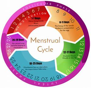 Air Pollution Linked To Irregular Menstrual Cycles Nexus Newsfeed