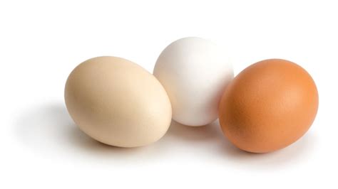 11 Things You Might Not Know About Eggs Mental Floss