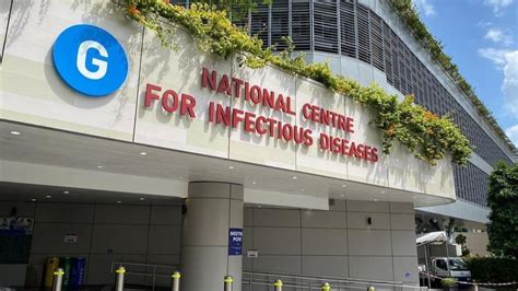 Singapore coronavirus update with statistics and graphs: 305 new COVID-19 cases in Singapore on May 18, lower ...