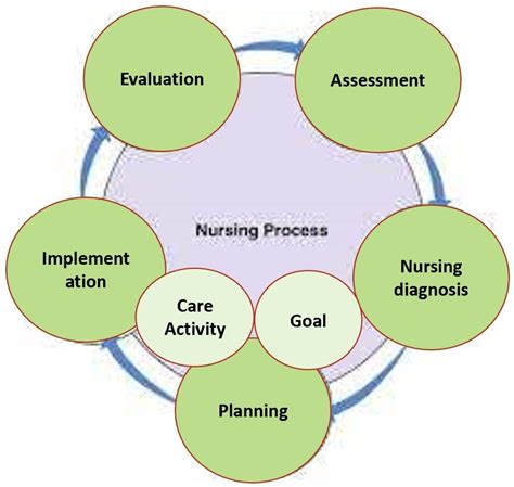 Goal Milestone Assessment Evaluation Outcome In Care Planning